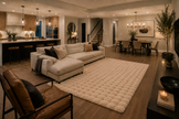 Plush Bubble Carpet